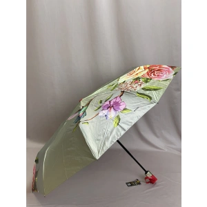Зонт зеленый Amico 1195