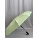 Зонт зеленый Amico 2199